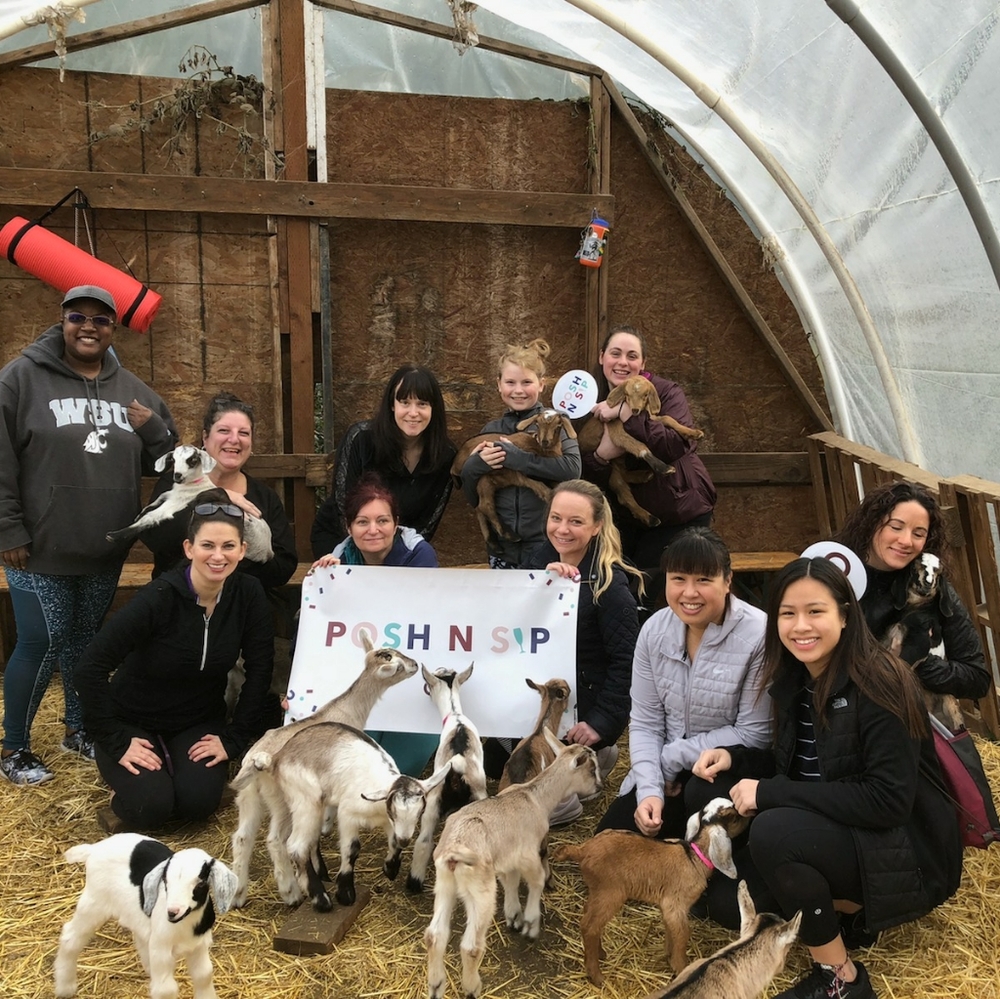 2/22/20 🐐 Posh N Sip Goat Yoga